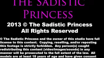 BB Princess - Pornhub.com