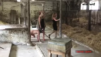 Brutal Barn Ballbusting (Sadistic Queens) - Pornhub