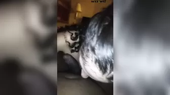 1080P_4000K_216760232