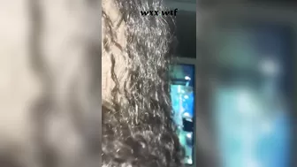 720P_1500K_226675311