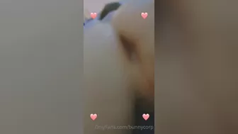bunnycorp ~ scorebuns  thin beauty masturbates oily pussy