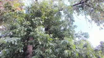 patry333 mfc beauty wet finger fucking 2022 webcam