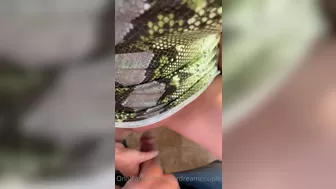 YourDreamCouple  gourmet shmarina