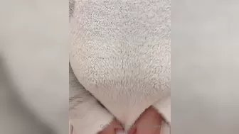 nina busty babe deep sucking dick