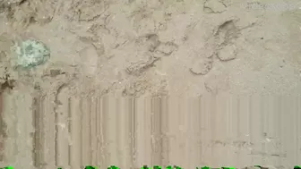 Longwoodx (@longwood79) onlyfans Luxurious bitch caresses shaved holes