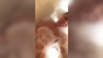 LunaStar Lustful bitch sucks a dude's penis