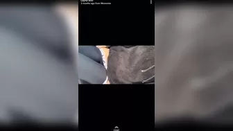 Layna Boo Luxurious Curvy Fucks A Doll