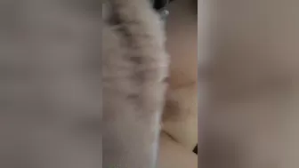 Laiste Girl Beautiful bitch enjoys cunnilingus