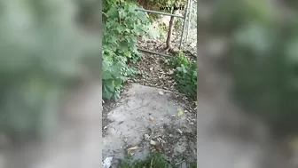 Granny Niece Sucked my Cock_Chiz1223_1080p