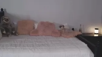 angiefae Gorgeous Marina fucks her cunt with a phallus