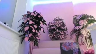 dora_dds Naughty bitch pulls shaggy pussy