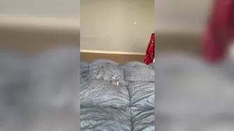 yuriboler onlyfans masturbating and playing with her pussy