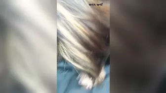 Jovencita Morra Nena Chupando Verga Por Primera Vez_curious2suck69_1080p