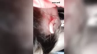 Lil Whore_BigDreamChaser_1080p