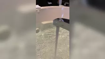 Rachel Cook, rachelc00k onlyfans Cute bitch jerks off pussy