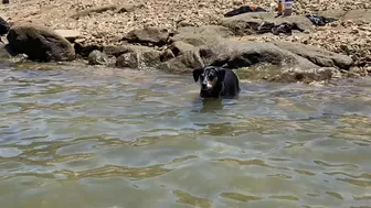 Stella Violet, stellaviolet, stellavioletxx Sexy blonde fucks sex lips