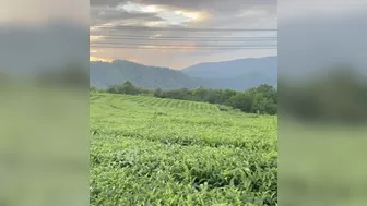 Ekaterina Enokaeva,  Luxurious nipple tightly jerks off the anus