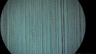 Blanc Noir, blancnoir, miss noir xx, izzy xx Amazing mare dancing striptease