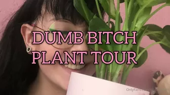 Feya Fern (feyafern aka Ittybittykath) onlyfans gorgeous pussy