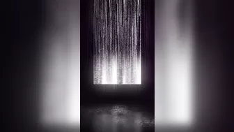 salinatakeova onlyfans in all the cracks before losing pulse