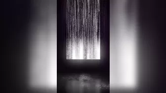 salinatakeova onlyfans Wonderful passion seduces with chic shapes.