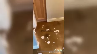 rikkivaughn onlyfans Blonde babe bares her tits