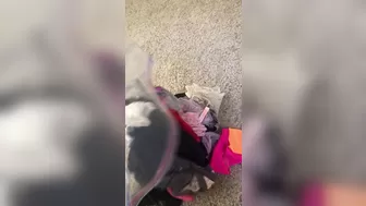 elsadreamjean onlyfans Blonde hairstyle fingering shaved cunt