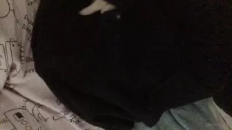 tattookitten onlyfans Sweet bitch in erotic show