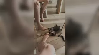 Reislin onlyfans Tiny in stockings fingering clit