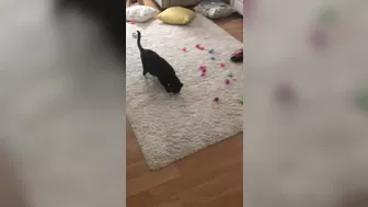 Anna Bell Peaks (AnnaBellPeaks) onlyfans Elite whore fucking with sex machine