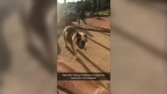 Anna Bell Peaks (AnnaBellPeaks) onlyfans mature and skillful