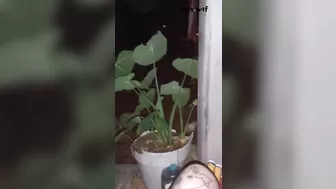 Playing with my Fat Pussy on my Porch_Cameltoe Queen Vixx_1080p