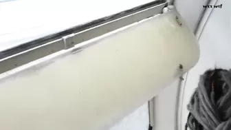 SEX IN THE TOILET ON A CRUISE SHIP_Geverina Home_1080p