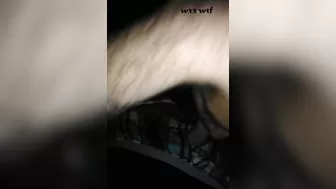 She Loves Sucking Dick and Tasting Cum (pt. 3⁄3)_SW1RLZ_1080p