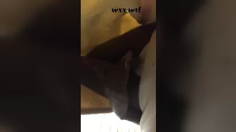 TS Sits on Couch and Rubs Hard Clit_PublicPrincess_720p