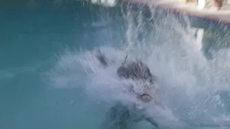 emily willis onlyfans Cute chick caresses small tits