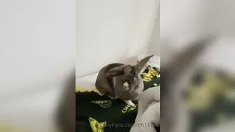 Chloe Spencer aka Ch111oe onlyfans amazing video with naughty