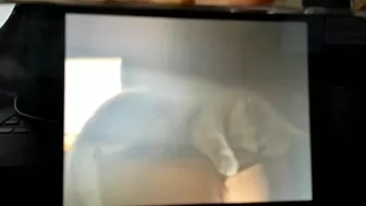 adysweet onlyfans Learning to play with the butt plug