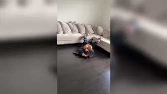 iamlmonies onlyfans Wet plays with pink hole