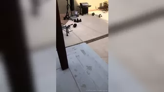 madisonginley onlyfans Shy teen masturbates wet pink hole with sex toy