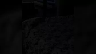 djdarciedolce onlyfans Hot sweetie dabbles with a dildo 2022 cam show