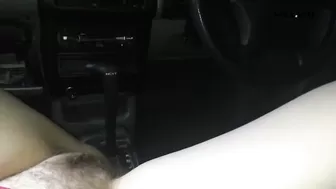 Using my Car as a Toilet 3_Lady of the Fountain_720p