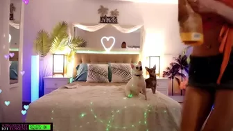 amyvalentine chaturbate Incredible shows off gorgeous boobs
