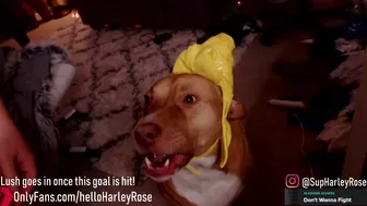 helloharley chaturbate 29/02/2022 Newest camrecords 2022