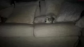 tiffanydeepthroats chaturbate 16 March 2022 broadcast 2022