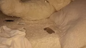 patry333 chaturbate 18/02/2022 Full ticket show 2022