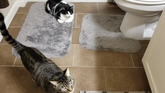 Embersnow onlyfans 27-01-2022 Latest webcam 2022