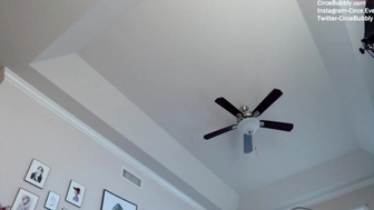 circeeve chaturbate 20_03_2022 Newest camrecords 2022