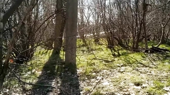 ButterflySay solo webcam