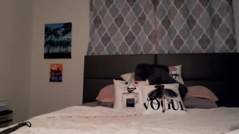 laceycoffeegirl chaturbate 24 january 2022 Latest May camrecords